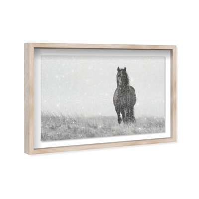 Lone Stallion I Print by Oliver Gal