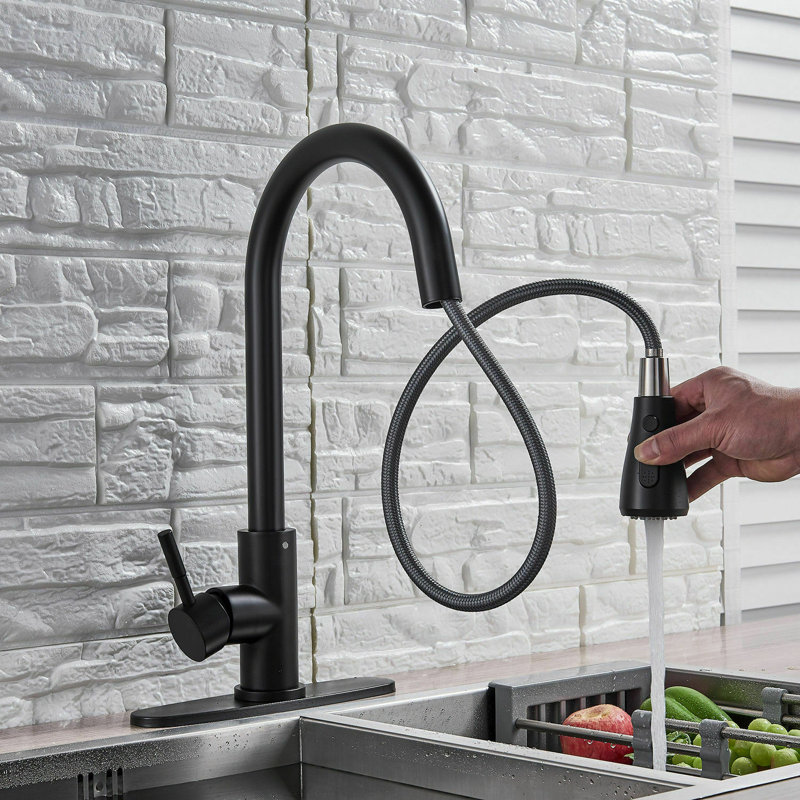 Wonderland America Pull Down Kitchen Faucet