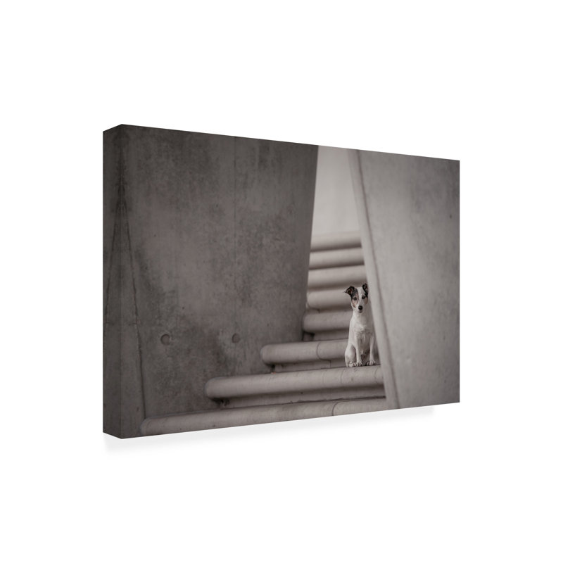 Art sur toile, bolologia Heike Willers, H 12 po x l 19 po