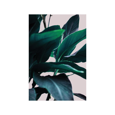 Leaves IV by Mareike BÃ¶hmer - Print on Canvas