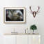 Colourful Elephant - Picture Frame Painting Print-56708785-56708789