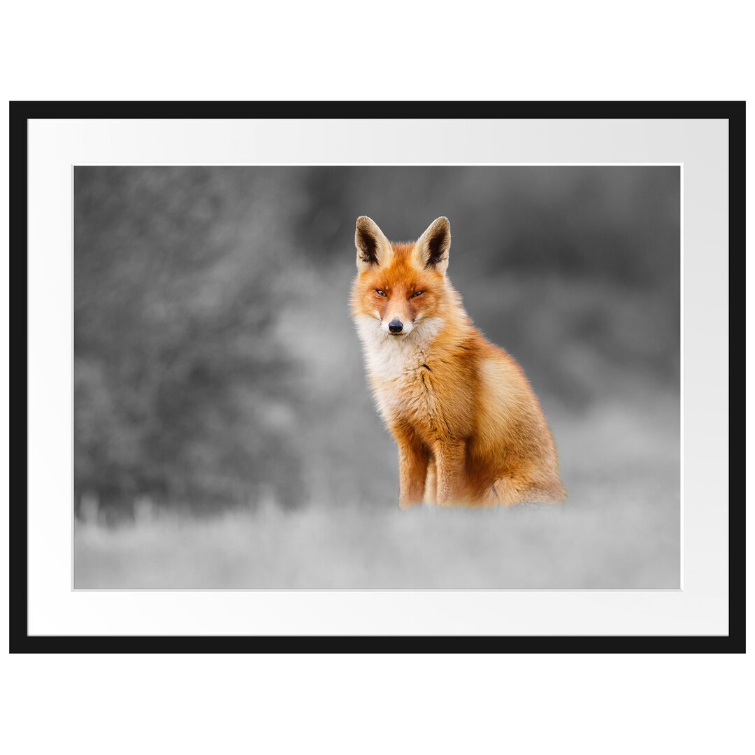 Gerahmtes Poster Magnificent Fox