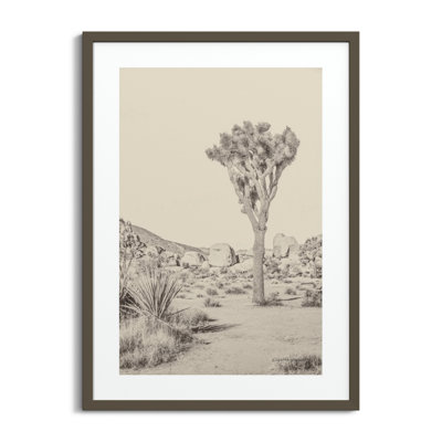 Joshua Tree III Neutral by Elizabeth Urquhart