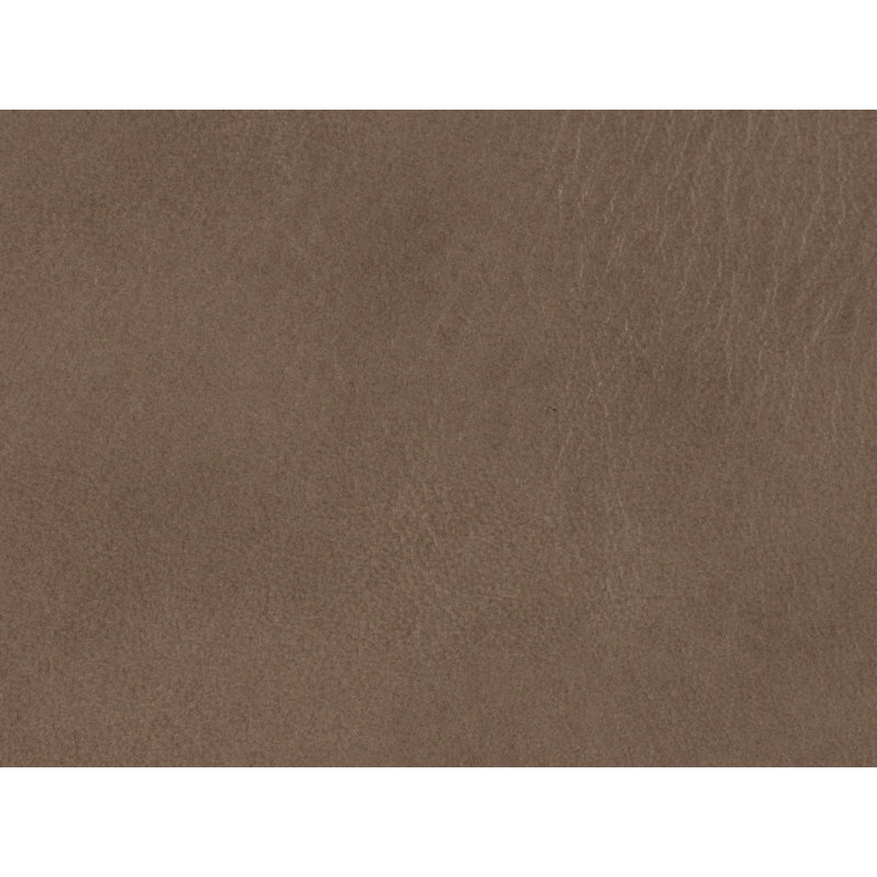 Caycie Leather Recliner