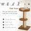 Northborough Cat Perch-789827384