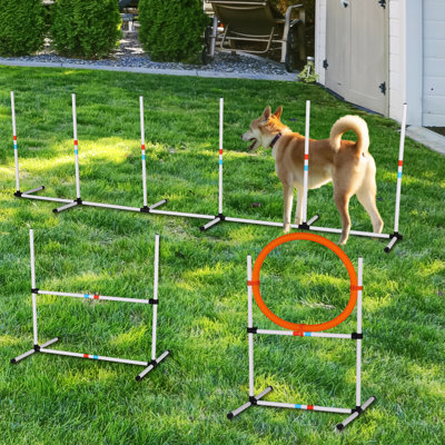 Dog Jumps with Carrying Case