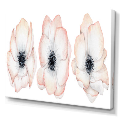 " Watercolor Anemone Rose Flowers " Painting Print