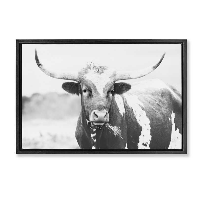 Cadre flottant à deux tons Longhorn Portrait, design par Sissi et Seb, Cadre flottant noir de jais, H 17 po x l 25 po