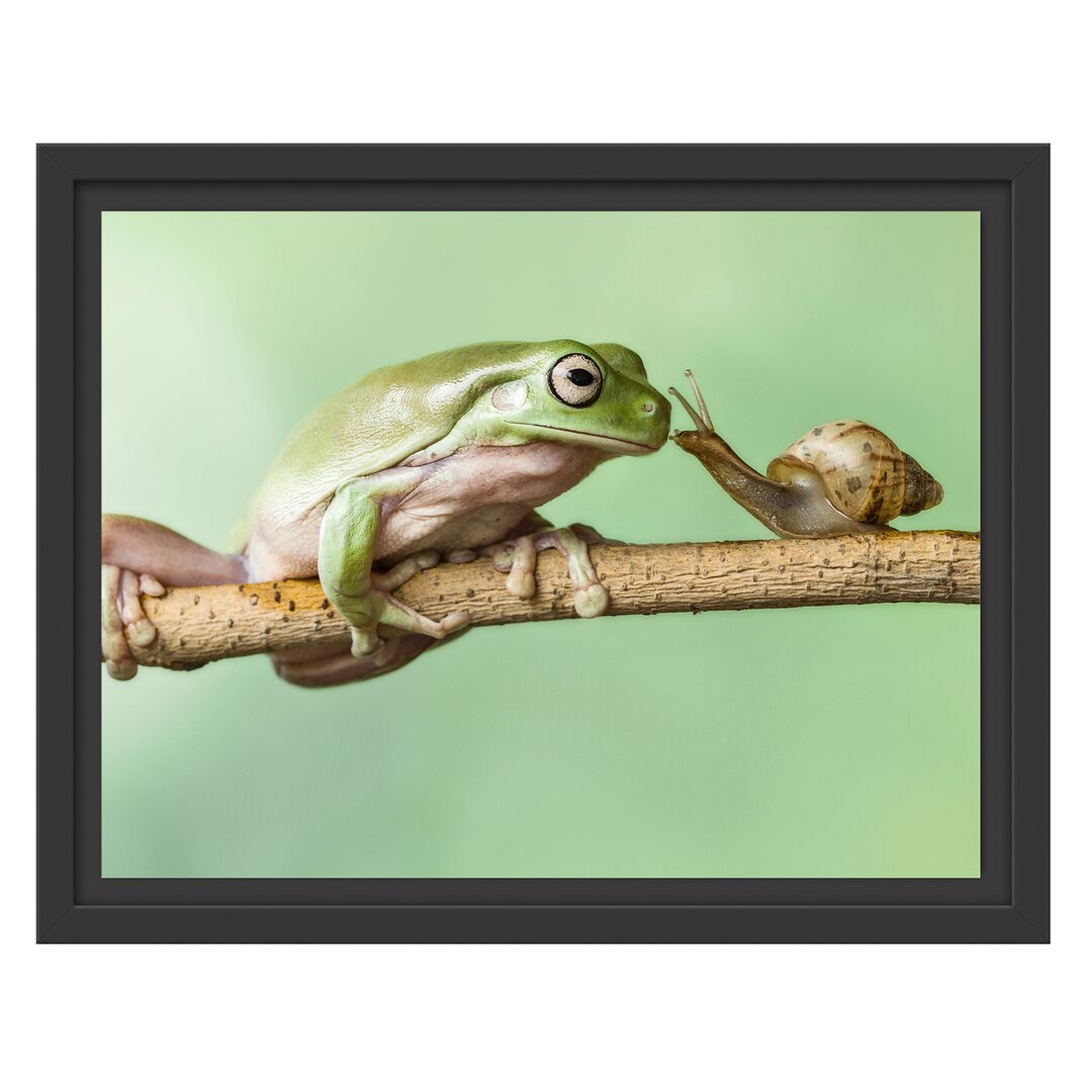 Gerahmtes Wandbild der Frosch und die Schnecke