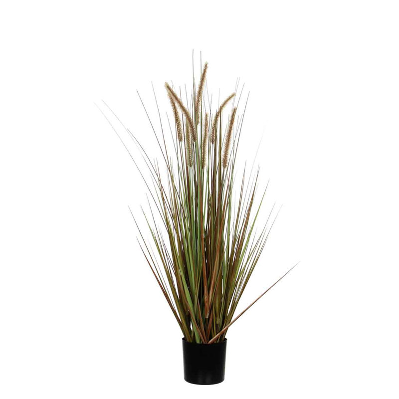 Dohera Faux Plume Grass in Pot, Green, 150cm H x 70cm W x 70cm D