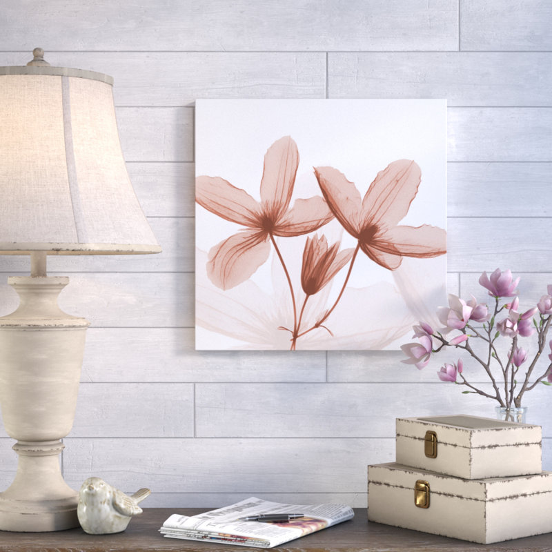 Journey Clematis - Wrapped Canvas Print, 46cm H x 46cm W