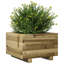 Bhavika Planter Box-1814111163-1814110813