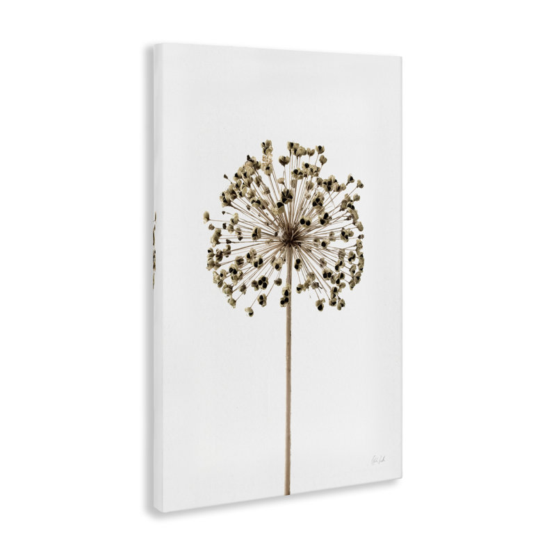  «Minimal Allium Bud», art mural sur toile par Deborah Revell, H 36 po x l 24 po