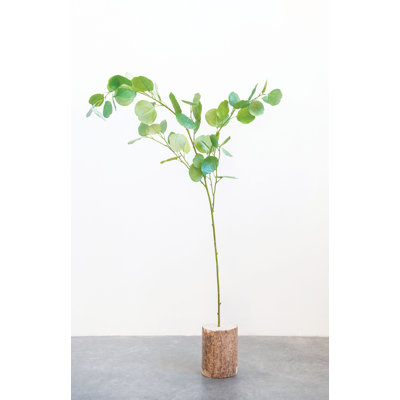 Fausse branche d'eucalyptus