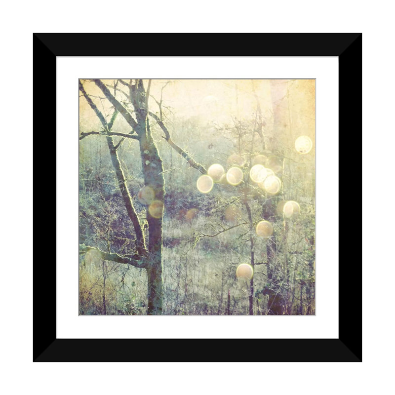« into the mystic », impression sur toile, H 24 po x l 24 po x P 1 po, Papier d'art encadré noir, Blanc