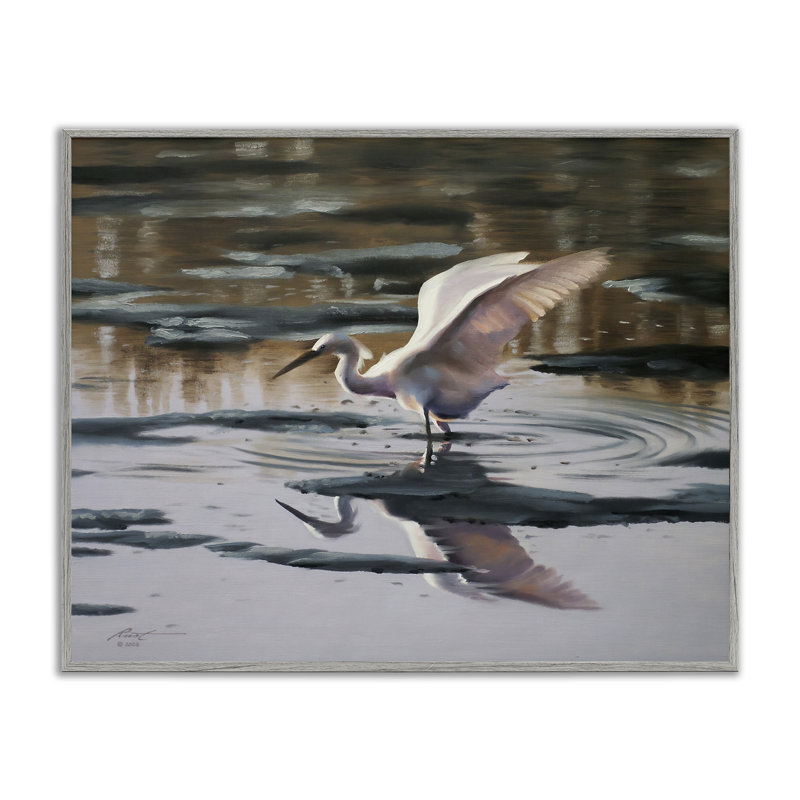 Swan Landing in Water, estampe numérique encadrée par D. Rust, H 24 po x l 30 po, Estampe numérique Farmhouse