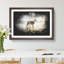 Border Collie Dog at the Beach - Picture Frame Painting Print-56855229-56855231