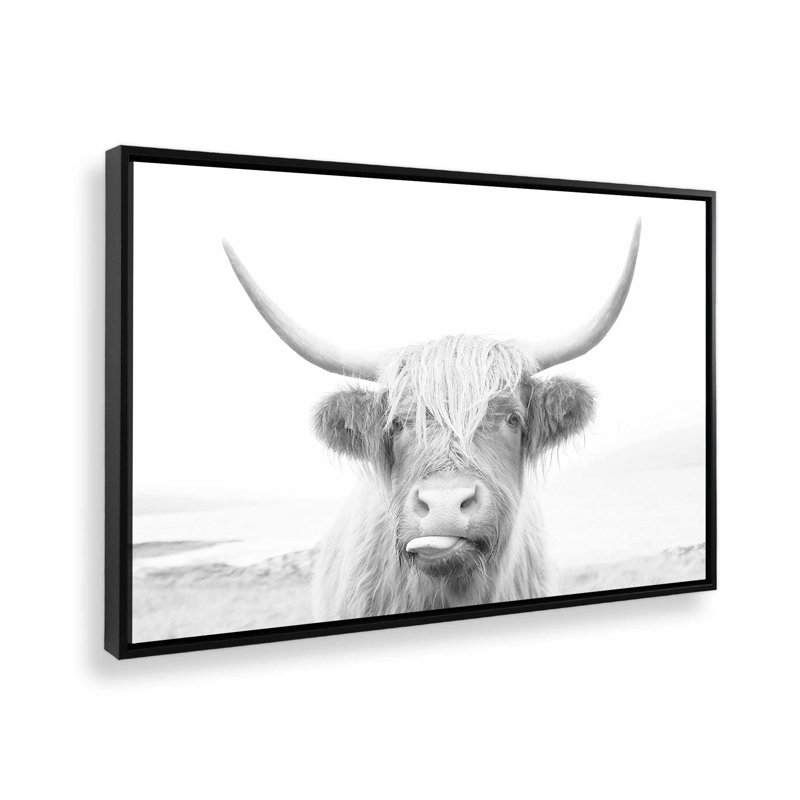 Playful Highland Cow Canvas Print, Satin Black Floater Framed, 8.75" H x 12.75" W x 1.75" D