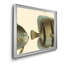 «Bloch Antique Fish IV», impression sur toile encadrée-2104340398-2104340396