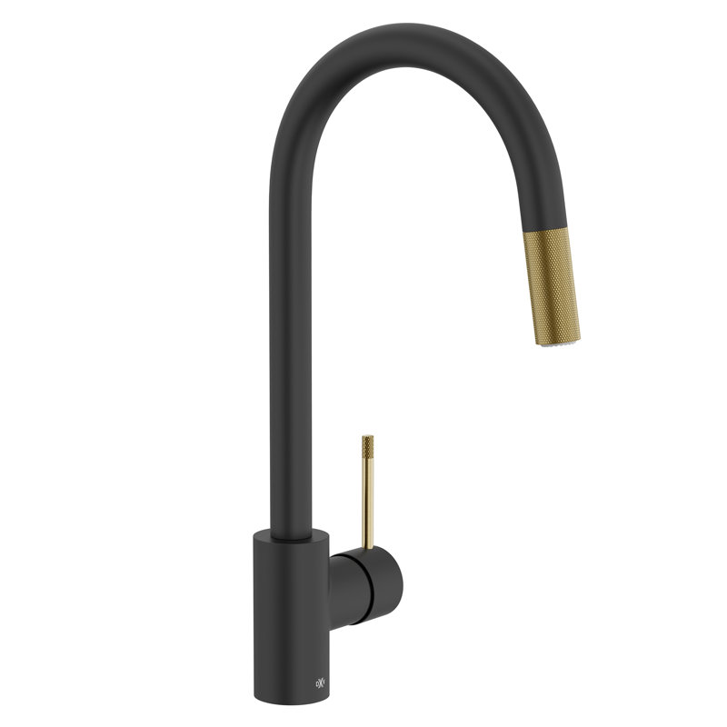 Etre Pull-Down Kitchen Faucet, Matte Black/Satin Brass