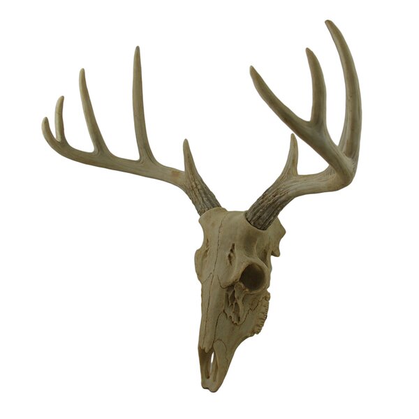 Deer Skull Wayfair
