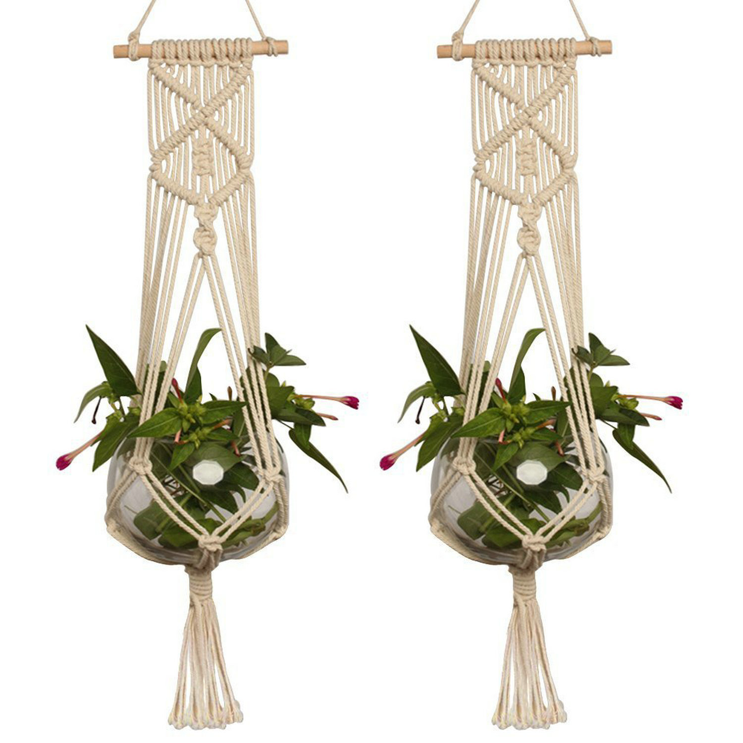 Dakota Fields Cherylene 2 Piece Set Plant Hanger Set & Reviews | Wayfair
