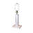Abella Metal Table Lamp-1632212063