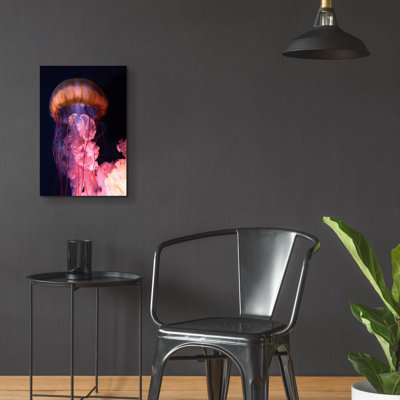 " Gelly " by PhotoINC Studio