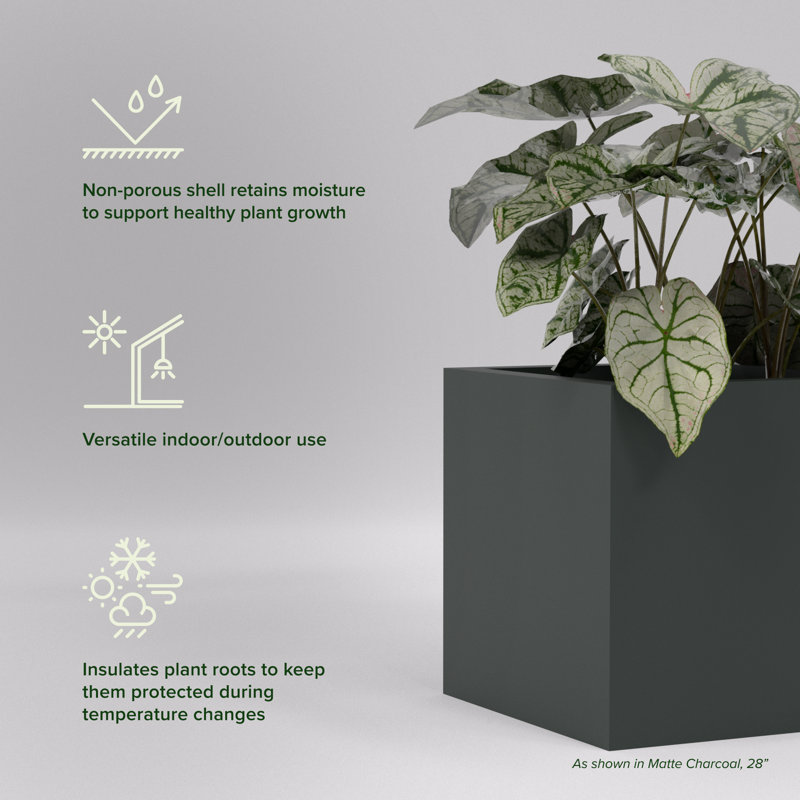 Greenline Fiberglass Jack Medium Indoor/Outdoor Square Cube Planter, Matte Charcoal, 16" H x 16" W x 16" D