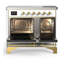 Majestic III Series 40 Inch Induction Range with 6 Induction Elements in Stainless Steel (Brass Trim)-1837201740-1837201742