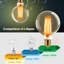 2-Pack 6W LED Light Bulbs