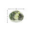 Hydrangeas, Peony And Blueberry In A White Pot-502493190