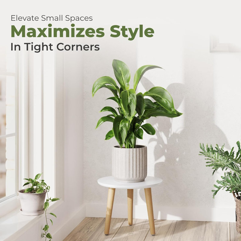 Support à plante pour plantes d'intérieur