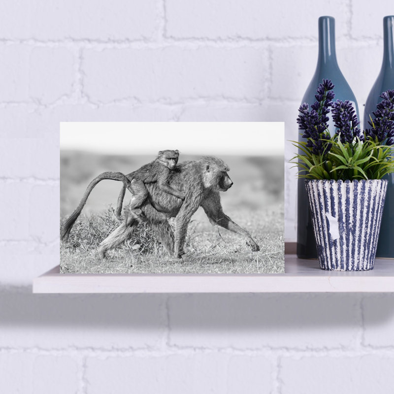 African Baboon Mother And Baby Contemporary Monkey Nature Wildlife Wall Art Print by Jeffrey C. Sink - 1 Piece Wrapped Canvas Wall Art