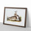 Rocky Mountain Hares by J.W. Audubon - Picture Frame Painting Print-55762876-55762877