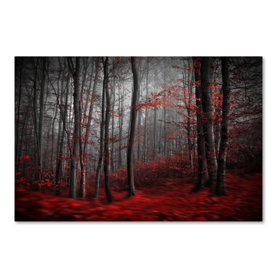 Wrapped Canvas Wall Art - Samanta 'Bloody River' Wall Art for Living Room, Bedroom, or Office Décor - 22X32