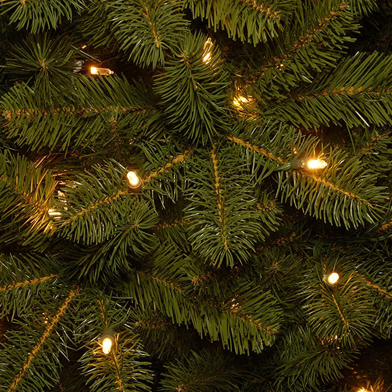 Douglas 9' Pre-Lit Fir Tree - The Holiday Aisle®, 9'
