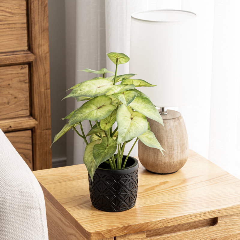Artificial Plant