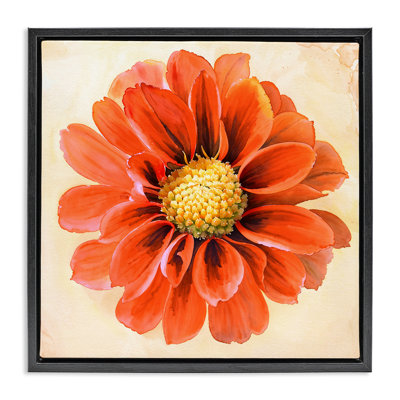 «Orange Dahlia Bloom», art mural encadré par Christine Zalewski