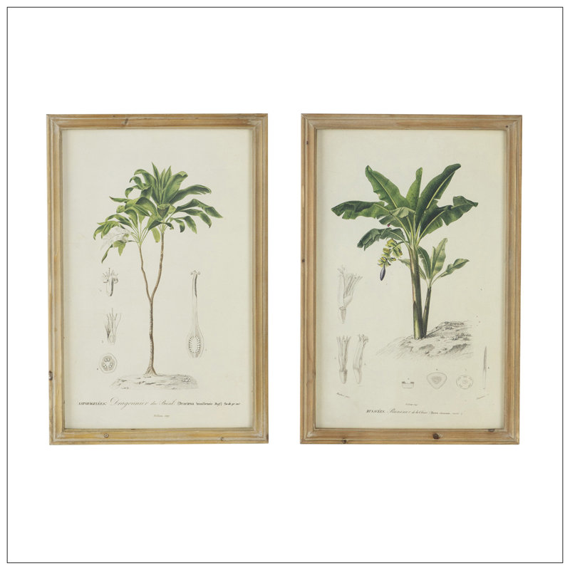 S/2 Tree Framed Print