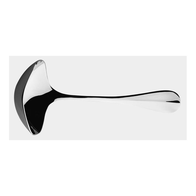 Blois Stainless Steel Ladle