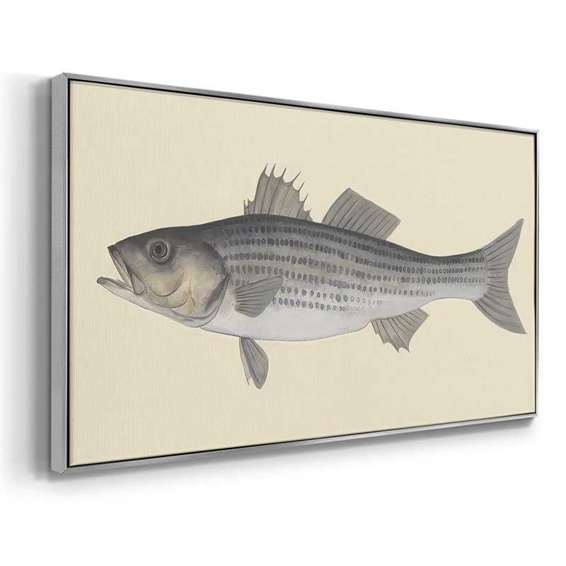 «Saltwater Species I» - Toile tendue avec châssis encadré - Prêt à être accroché, Argent argent