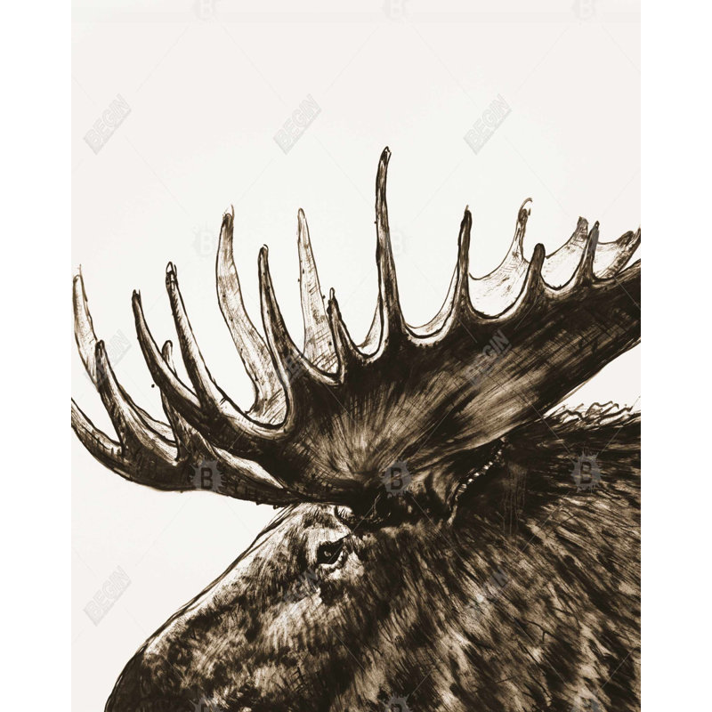 "Moose Plume sépia" sur toile, H 60 po x l 48 po