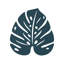 Monstera Trivet-853727139