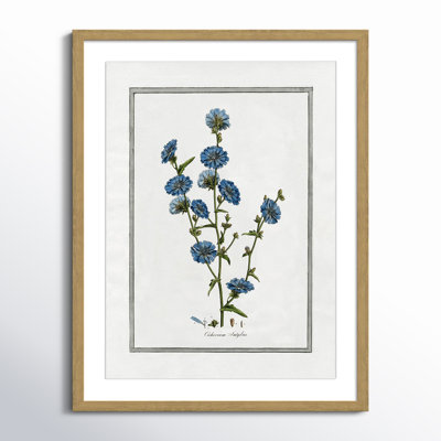 Colombe "Soft Botanical I" Print
