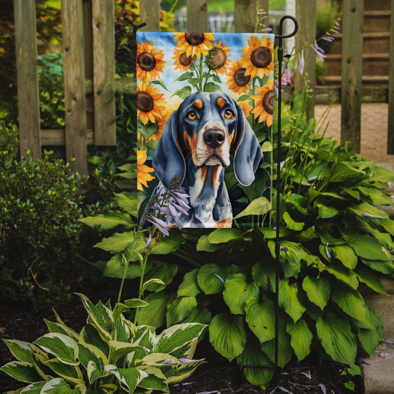 Lévrier irlandais dans le drapeau du jardin de tournesols, Bluetick Coonhound