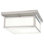 Lizard Glass Flush Mount