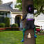Halloween Decoration