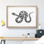 Boa Constrictor Snake in Black and White by George Shaw - Picture Frame Drawing Print-55544126-55544131