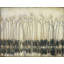 Dandelions Stream Print